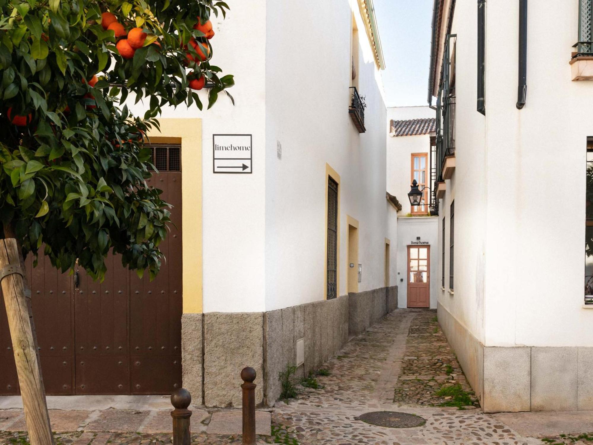 Appartamento Limehome Calle Pozanco *