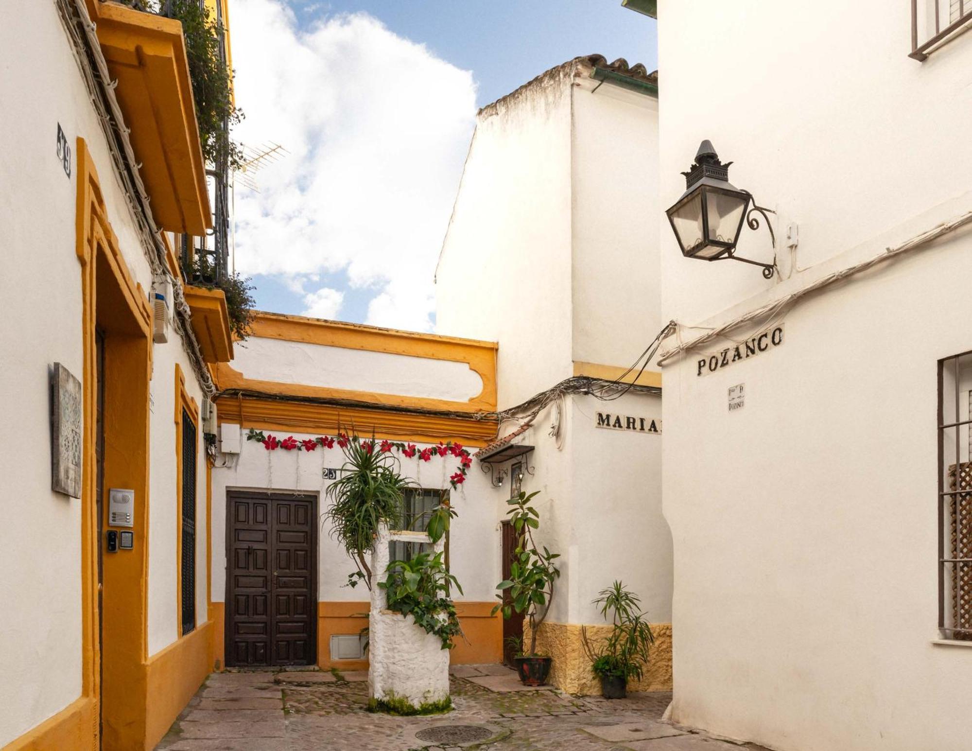 Limehome Calle Pozanco Appartamento *